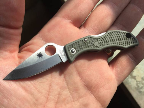 147 Spyderco Ladybug 3 - LGREP3 фото 6 147 Spyderco Ladybug 3 - LGREP3 фото 6
